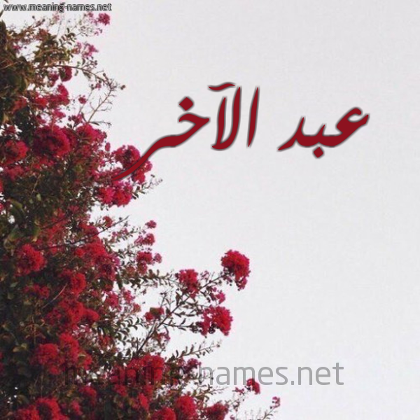 شكل 18 صوره الورد الأحمر للإسم بخط رقعة صورة اسم عبد الآخر ABD-ALAKHR
